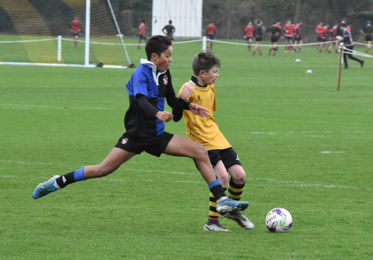 Youth Roundup: Aldenham and Bradfield