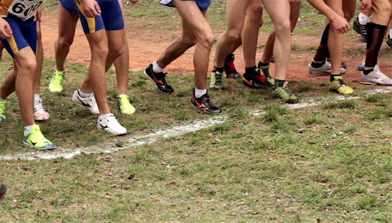 End of term cross country Christmas handicap race